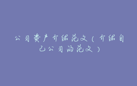 公司资产介绍范文(介绍自己公司的范文)