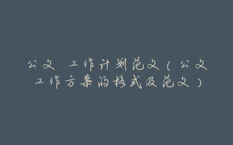 公文 工作计划范文(公文工作方案的格式及范文)