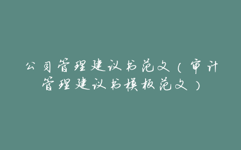 公司管理建议书范文(审计管理建议书模板范文)