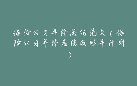 保险公司年终总结范文(保险公司年终总结及明年计划)