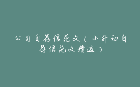 公司自荐信范文(小升初自荐信范文精选)