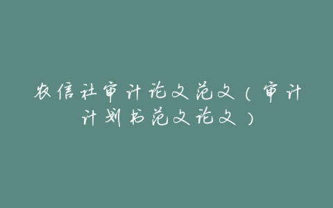 农信社审计论文范文(审计计划书范文论文)
