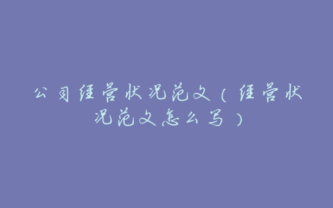 公司经营状况范文(经营状况范文怎么写)