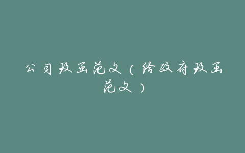 公司致函范文(给政府致函范文)