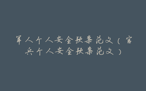 军人个人安全预案范文(官兵个人安全预案范文)