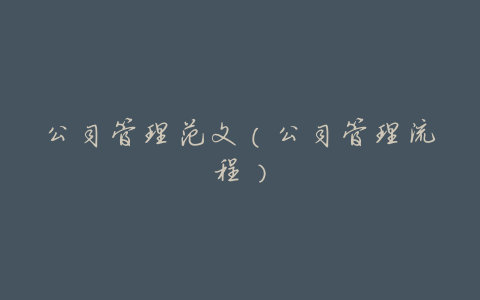 公司管理范文(公司管理流程)