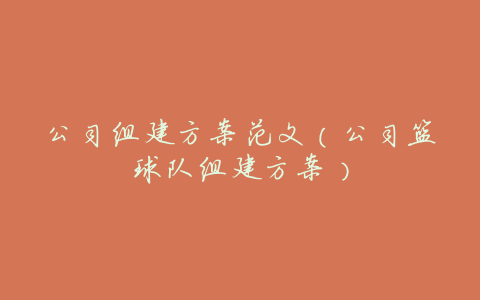 公司组建方案范文(公司篮球队组建方案)