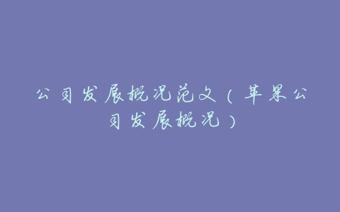 公司发展概况范文(苹果公司发展概况)