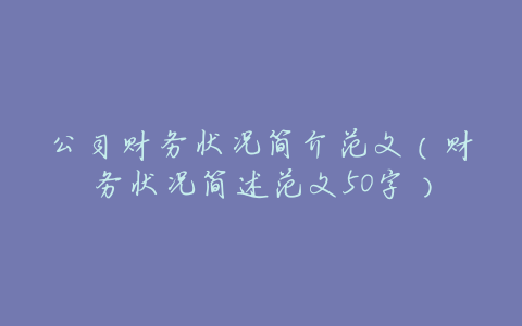 公司财务状况简介范文(财务状况简述范文50字)