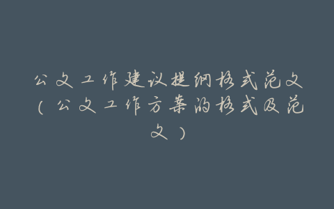 公文工作建议提纲格式范文(公文工作方案的格式及范文)