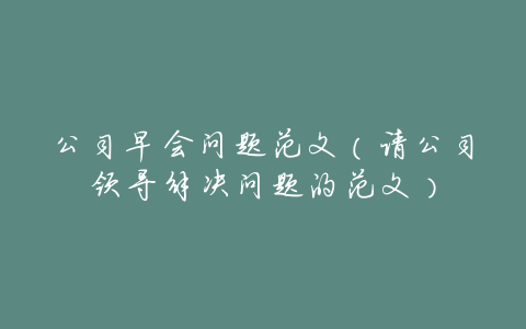 公司早会问题范文(请公司领导解决问题的范文)