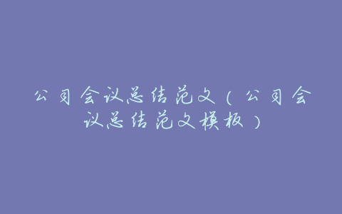 公司会议总结范文(公司会议总结范文模板)