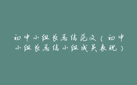 初中小组长总结范文(初中小组长总结小组成员表现)