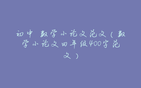 初中 数学小论文范文(数学小论文四年级400字范文)