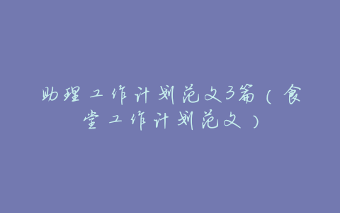 助理工作计划范文3篇(食堂工作计划范文)