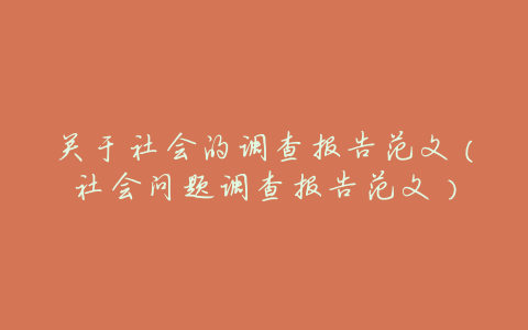 关于社会的调查报告范文（社会问题调查报告范文）