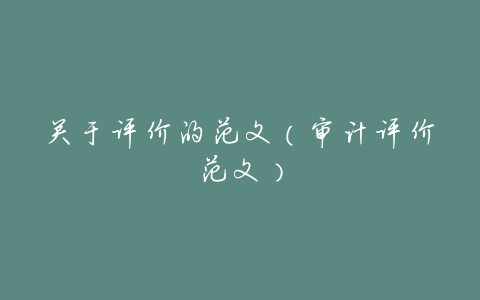 关于评价的范文(审计评价范文)