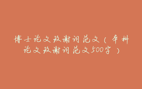 博士论文致谢词范文(本科论文致谢词范文500字)