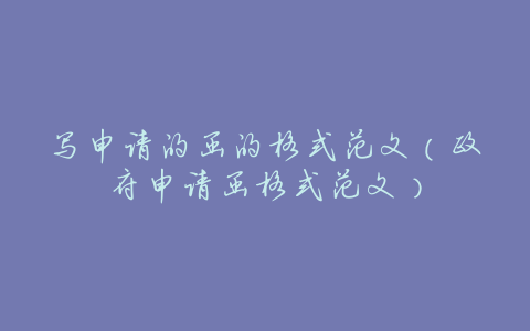 写申请的函的格式范文(政府申请函格式范文)
