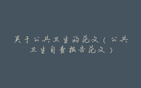 关于公共卫生的范文(公共卫生自查报告范文)