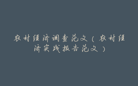 农村经济调查范文(农村经济实践报告范文)