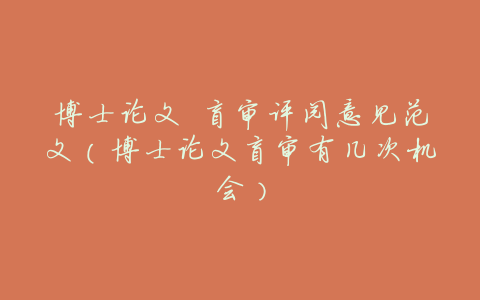 博士论文 盲审评阅意见范文（博士论文盲审有几次机会）