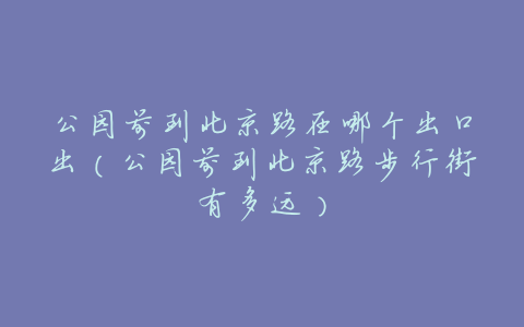 公园前到北京路在哪个出口出(公园前到北京路步行街有多远)
