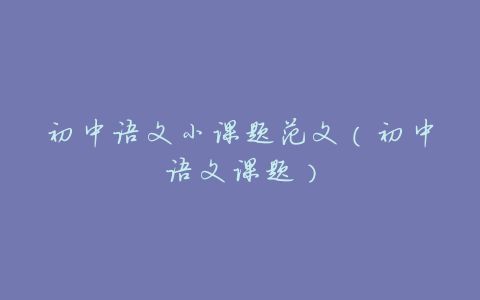 初中语文小课题范文(初中语文课题)