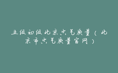 五级初级北京空气质量(北京市空气质量官网)