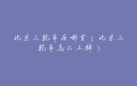 北京三轮车在哪坐(北京三轮车怎么上牌)