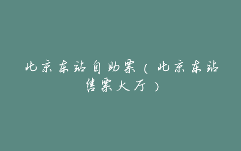 北京东站自助票(北京东站售票大厅)