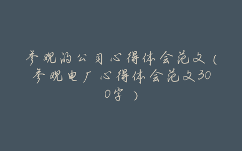 参观的公司心得体会范文(参观电厂心得体会范文300字)