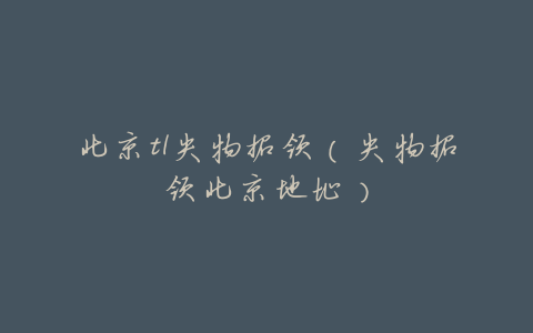 北京t1失物招领(失物招领北京地址)