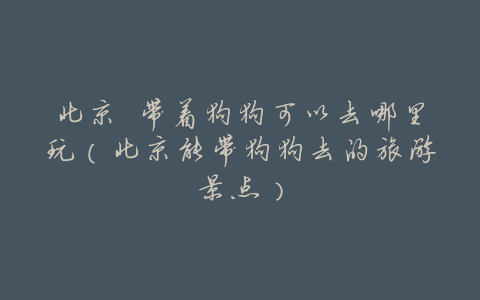 北京 带着狗狗可以去哪里玩(北京能带狗狗去的旅游景点)
