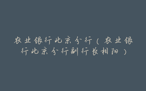 农业银行北京分行(农业银行北京分行副行长相阳)
