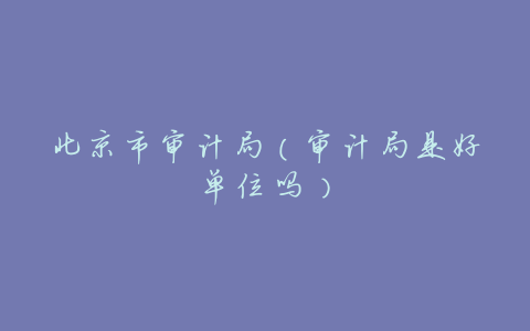 北京市审计局(审计局是好单位吗)