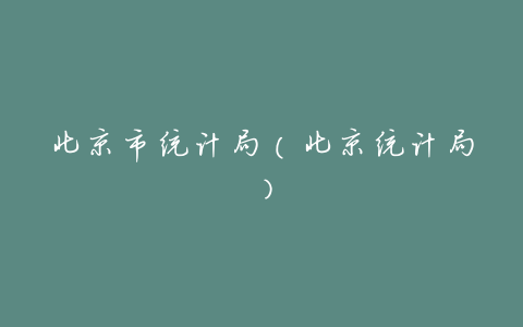 北京市统计局(北京统计局)