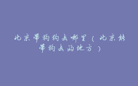北京带狗狗去哪里(北京能带狗去的地方)
