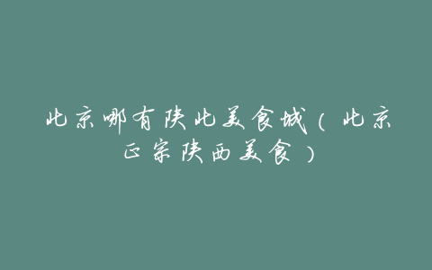 北京哪有陕北美食城(北京正宗陕西美食)