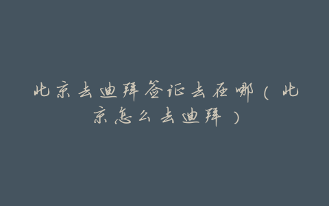 北京去迪拜签证去在哪(北京怎么去迪拜)