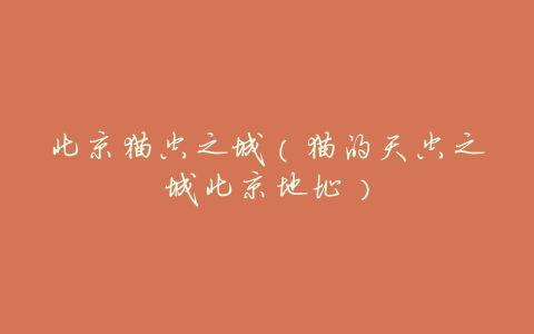北京猫空之城（猫的天空之城北京地址）
