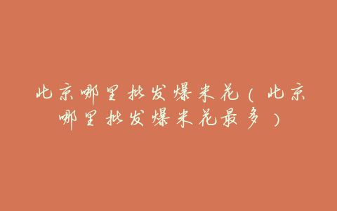 北京哪里批发爆米花(北京哪里批发爆米花最多)