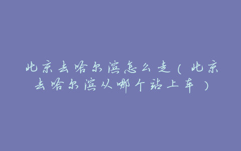 北京去哈尔滨怎么走(北京去哈尔滨从哪个站上车)
