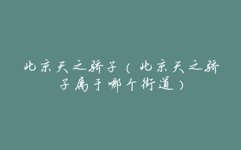 北京天之骄子(北京天之骄子属于哪个街道)