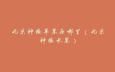 北京种植苹果在哪里(北京种植水果)
