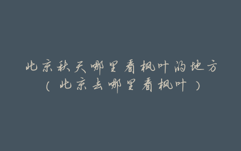 北京秋天哪里看枫叶的地方(北京去哪里看枫叶)