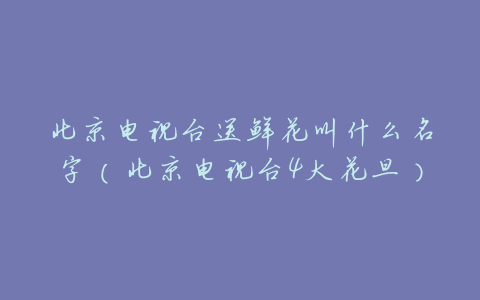 北京电视台送鲜花叫什么名字(北京电视台4大花旦)