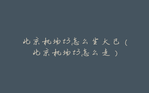 北京机场t3怎么坐大巴(北京机场t3怎么走)