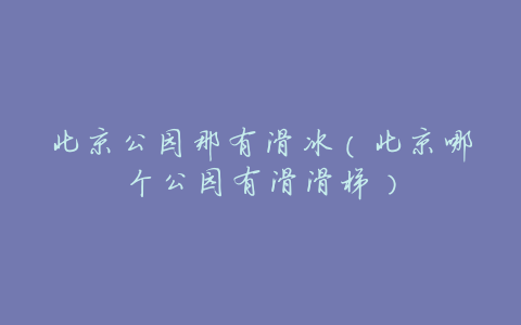 北京公园那有滑冰(北京哪个公园有滑滑梯)