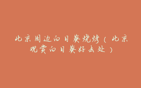 北京周边向日葵烧烤(北京观赏向日葵好去处)